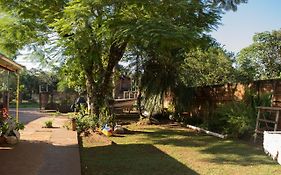 Duplex Macuco